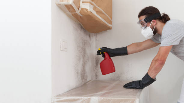 Professional Crawl Space Mold Removal technician working in Melville, NY