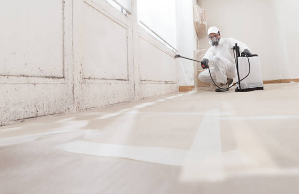 24/7 Emergency Crawl Space Mold Removal experts in Melville, NY